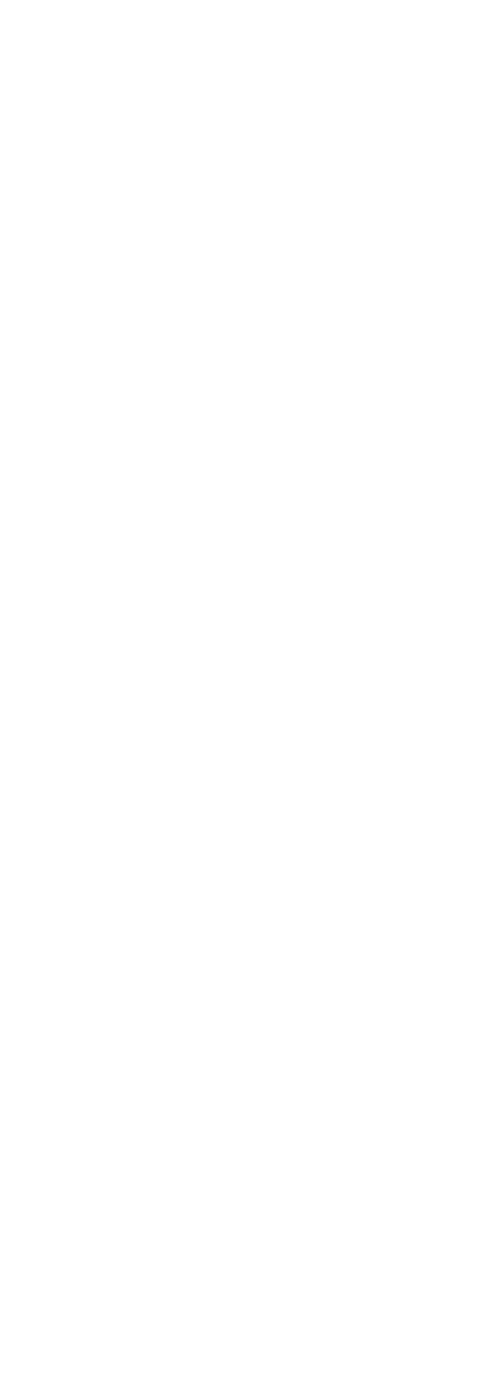 装飾画像